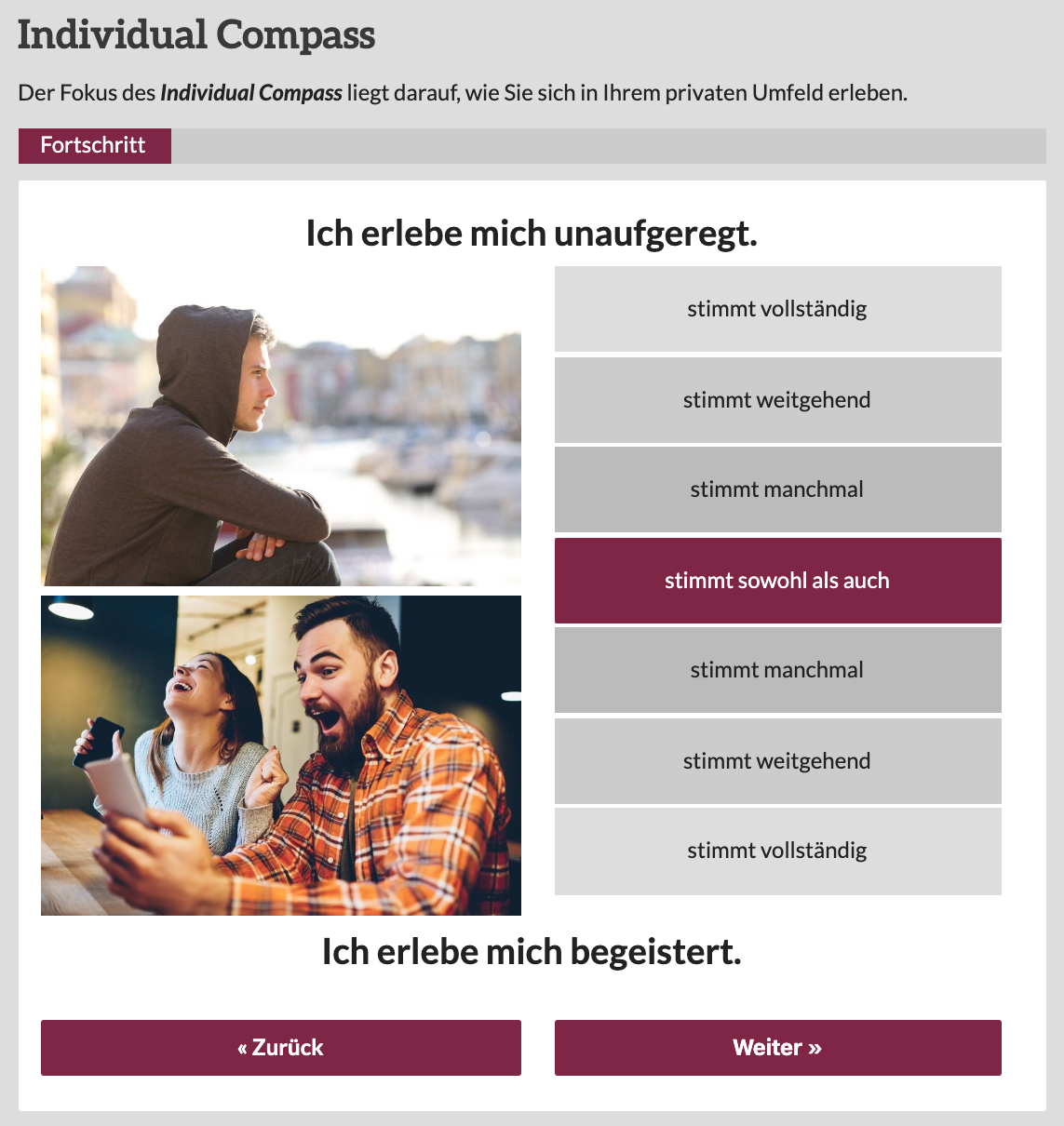 'Individual Compass questionnaire'